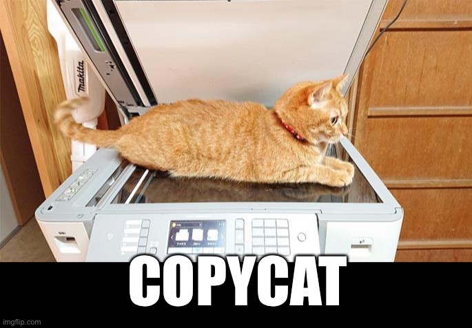 Copycat Meme